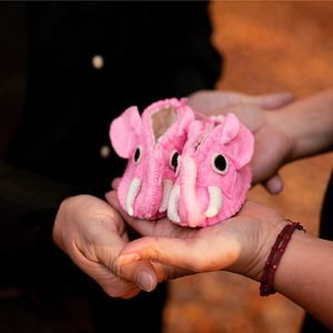 Meet your Posher, Luz